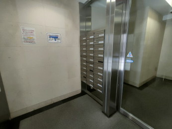 ̑p@-